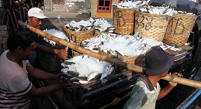 Proses produksi higienis